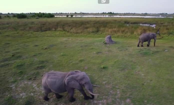 Suráfrica, un viaje en drone por estas salvajes tierras