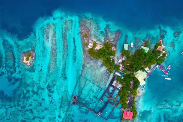 Acuaro islas del Rosario Cartagena