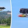 Dron le permite volar a un periquito paralítico